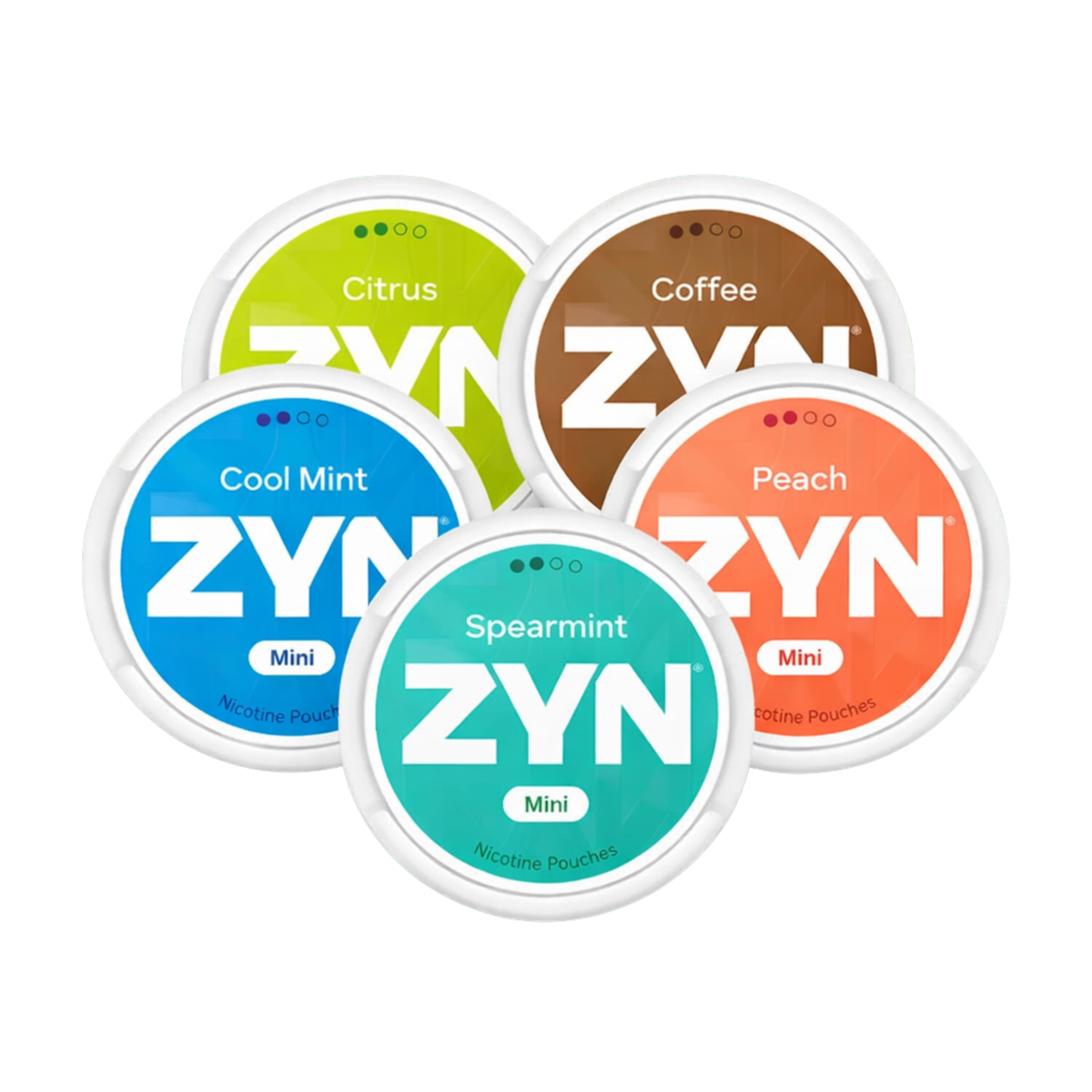 ZYN Big Mix